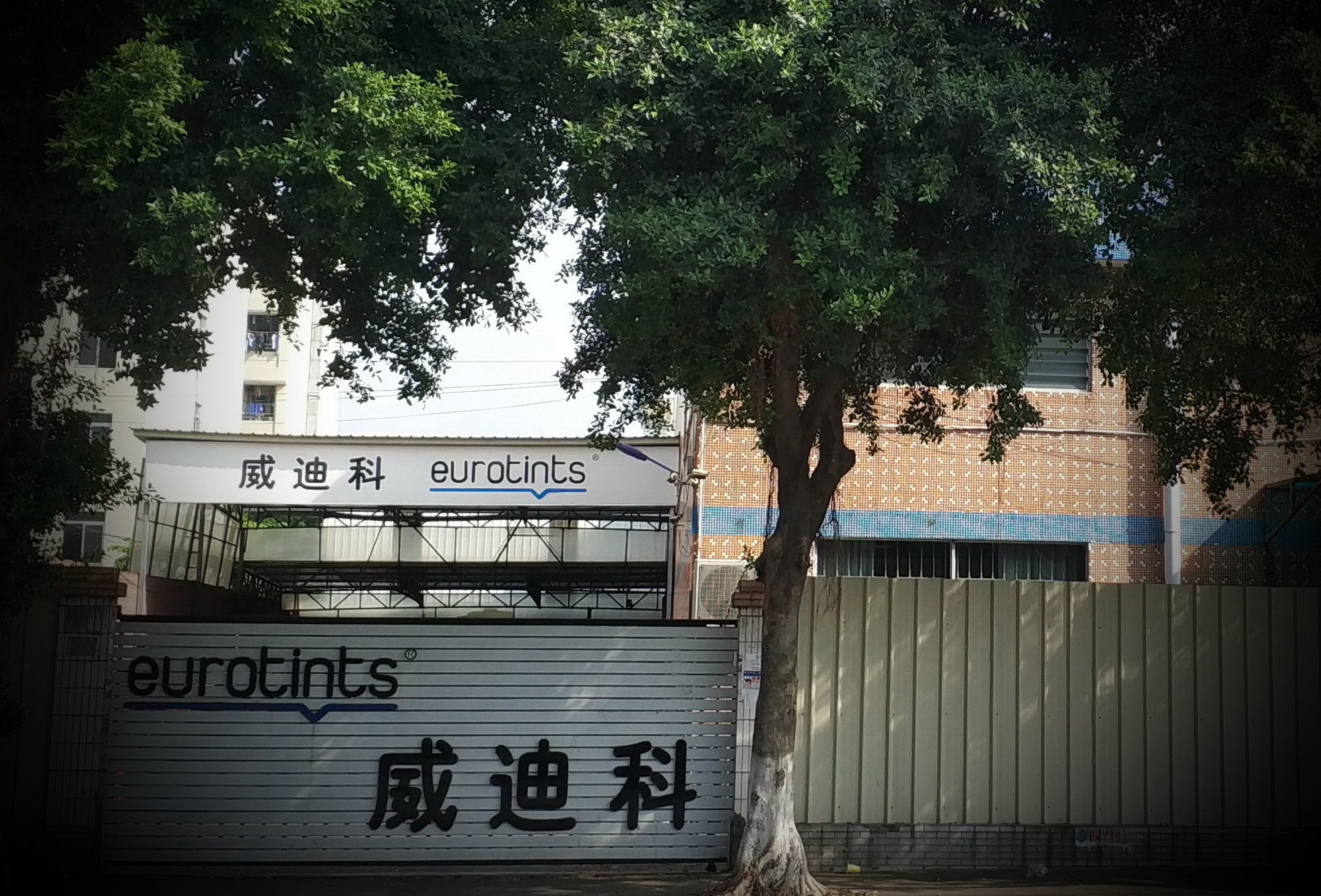 公司介绍